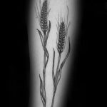 Фото тату колос пшеницы от 07.08.2018 №056 - tattoos ear of wheat - tatufoto.com