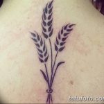 Фото тату колос пшеницы от 07.08.2018 №057 - tattoos ear of wheat - tatufoto.com