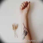 Фото тату колос пшеницы от 07.08.2018 №061 - tattoos ear of wheat - tatufoto.com