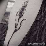 Фото тату колос пшеницы от 07.08.2018 №062 - tattoos ear of wheat - tatufoto.com