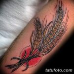 Фото тату колос пшеницы от 07.08.2018 №068 - tattoos ear of wheat - tatufoto.com