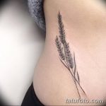 Фото тату колос пшеницы от 07.08.2018 №071 - tattoos ear of wheat - tatufoto.com