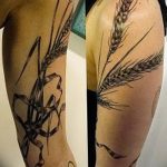Фото тату колос пшеницы от 07.08.2018 №072 - tattoos ear of wheat - tatufoto.com