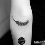 Фото тату колос пшеницы от 07.08.2018 №074 - tattoos ear of wheat - tatufoto.com