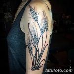 Фото тату колос пшеницы от 07.08.2018 №078 - tattoos ear of wheat - tatufoto.com