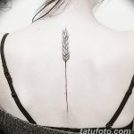 Фото тату колос пшеницы от 07.08.2018 №079 - tattoos ear of wheat - tatufoto.com