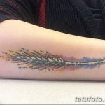 Фото тату колос пшеницы от 07.08.2018 №081 - tattoos ear of wheat - tatufoto.com