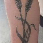 Фото тату колос пшеницы от 07.08.2018 №085 - tattoos ear of wheat - tatufoto.com