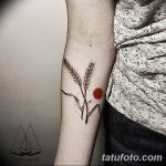 Фото тату колос пшеницы от 07.08.2018 №087 - tattoos ear of wheat - tatufoto.com