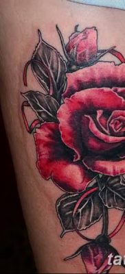 Фото тату красная роза от 08.08.2018 №070 — red rose tattoo — tatufoto.com