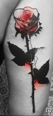 Фото тату красная роза от 08.08.2018 №076 — red rose tattoo — tatufoto.com