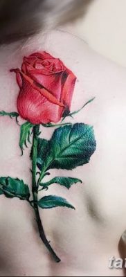 Фото тату красная роза от 08.08.2018 №077 — red rose tattoo — tatufoto.com
