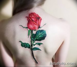 Фото тату: Красная роза с зелеными листьями на женской спине. Реалистичный рисунок татуировки с детальной проработкой лепестков и стебля.