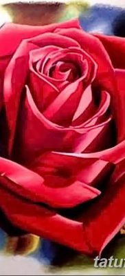 Фото тату красная роза от 08.08.2018 №098 — red rose tattoo — tatufoto.com