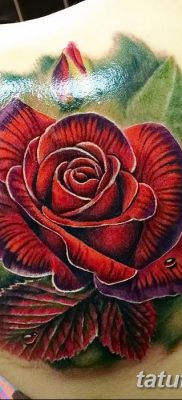 Фото тату красная роза от 08.08.2018 №100 — red rose tattoo — tatufoto.com