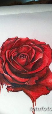 Фото тату красная роза от 08.08.2018 №114 — red rose tattoo — tatufoto.com