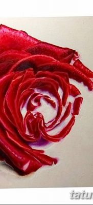 Фото тату красная роза от 08.08.2018 №116 — red rose tattoo — tatufoto.com