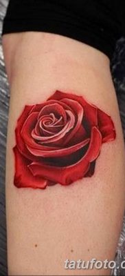 Фото тату красная роза от 08.08.2018 №123 — red rose tattoo — tatufoto.com