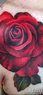 Фото тату красная роза от 08.08.2018 №127 — red rose tattoo — tatufoto.com