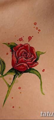 Фото тату красная роза от 08.08.2018 №140 — red rose tattoo — tatufoto.com