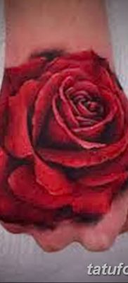 Фото тату красная роза от 08.08.2018 №143 — red rose tattoo — tatufoto.com
