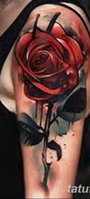 Фото тату красная роза от 08.08.2018 №144 — red rose tattoo — tatufoto.com