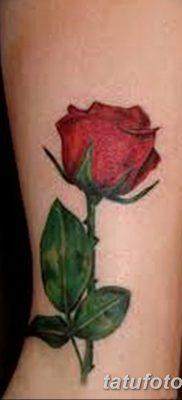 Фото тату красная роза от 08.08.2018 №147 — red rose tattoo — tatufoto.com