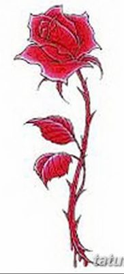 Фото тату красная роза от 08.08.2018 №159 — red rose tattoo — tatufoto.com