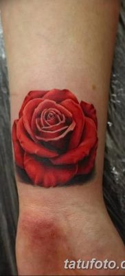 Фото тату красная роза от 08.08.2018 №169 — red rose tattoo — tatufoto.com