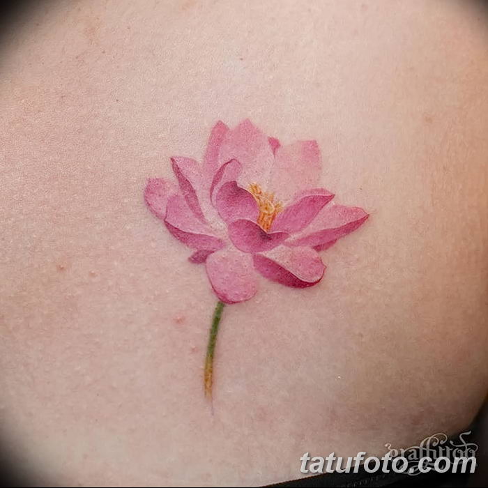 Фото тату лотос для девушки от 07.08.2018 №037 — lotus tattoo for girl — tatufoto.com