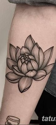 Фото тату лотос для девушки от 07.08.2018 №119 — lotus tattoo for girl — tatufoto.com