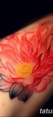 Фото тату лотос для девушки от 07.08.2018 №181 — lotus tattoo for girl — tatufoto.com