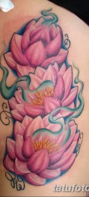 Фото тату лотос для девушки от 07.08.2018 №207 — lotus tattoo for girl — tatufoto.com