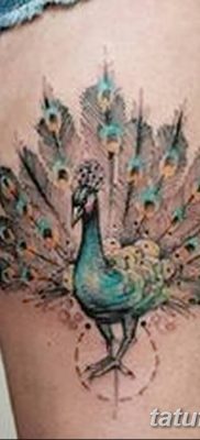 Фото тату птицы для девушек от 07.08.2018 №002 — bird tattoo for girls — tatufoto.com