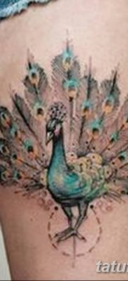 Фото тату птицы для девушек от 07.08.2018 №002 — bird tattoo for girls — tatufoto.com