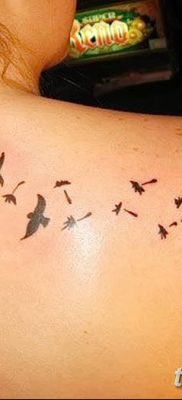 Фото тату птицы для девушек от 07.08.2018 №005 — bird tattoo for girls — tatufoto.com