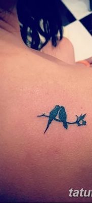 Фото тату птицы для девушек от 07.08.2018 №008 — bird tattoo for girls — tatufoto.com