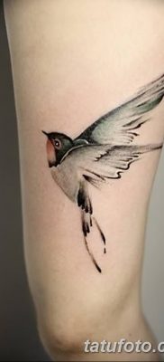 Фото тату птицы для девушек от 07.08.2018 №024 — bird tattoo for girls — tatufoto.com