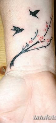 Фото тату птицы для девушек от 07.08.2018 №062 — bird tattoo for girls — tatufoto.com