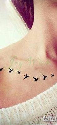 Фото тату птицы для девушек от 07.08.2018 №069 — bird tattoo for girls — tatufoto.com