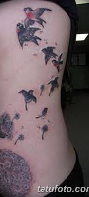Фото тату птицы для девушек от 07.08.2018 №085 — bird tattoo for girls — tatufoto.com