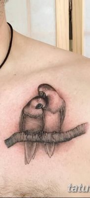 Фото тату птицы для девушек от 07.08.2018 №087 — bird tattoo for girls — tatufoto.com