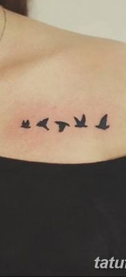 Фото тату птицы для девушек от 07.08.2018 №094 — bird tattoo for girls — tatufoto.com