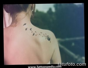 Фото тату на лопатке: силуэт одуванчика с разлетающимися семенами-парашютиками и стаей маленьких птиц, выполненное в минималистичном стиле.