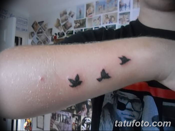 Фото тату птицы на запястье 17.08.2018 №067 — tattoo of a bird on the wrist — tatufoto.com