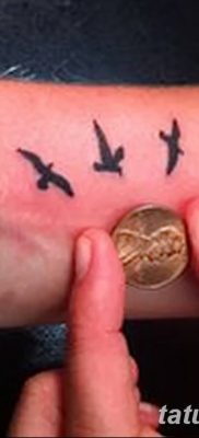 Фото тату птицы на запястье 17.08.2018 №124 — tattoo of a bird on the wrist — tatufoto.com
