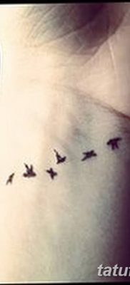 Фото тату птицы на запястье 17.08.2018 №126 — tattoo of a bird on the wrist — tatufoto.com