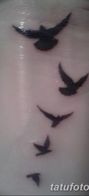 Фото тату птицы на запястье 17.08.2018 №154 — tattoo of a bird on the wrist — tatufoto.com