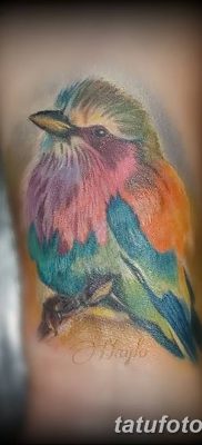 Фото тату птицы на запястье 17.08.2018 №201 — tattoo of a bird on the wrist — tatufoto.com