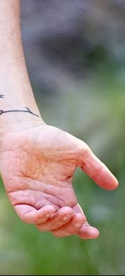 Фото тату птицы на запястье 17.08.2018 №206 — tattoo of a bird on the wrist — tatufoto.com